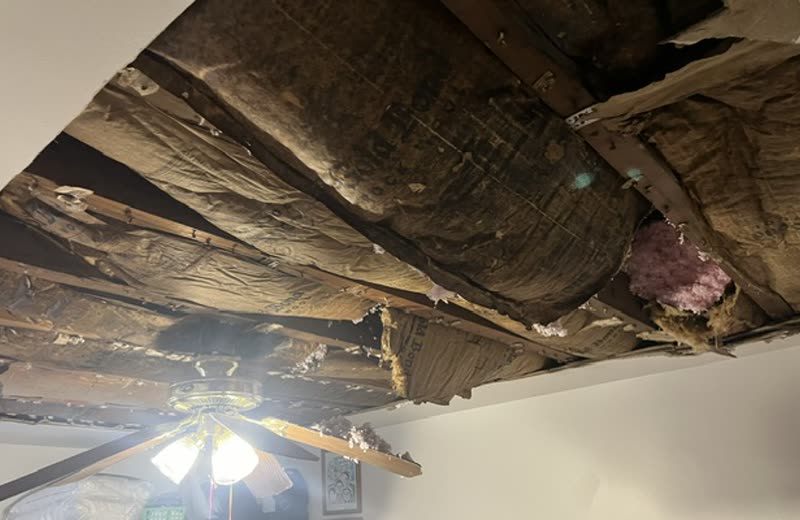 A failed ceiling opened up, joists and insulation exposed